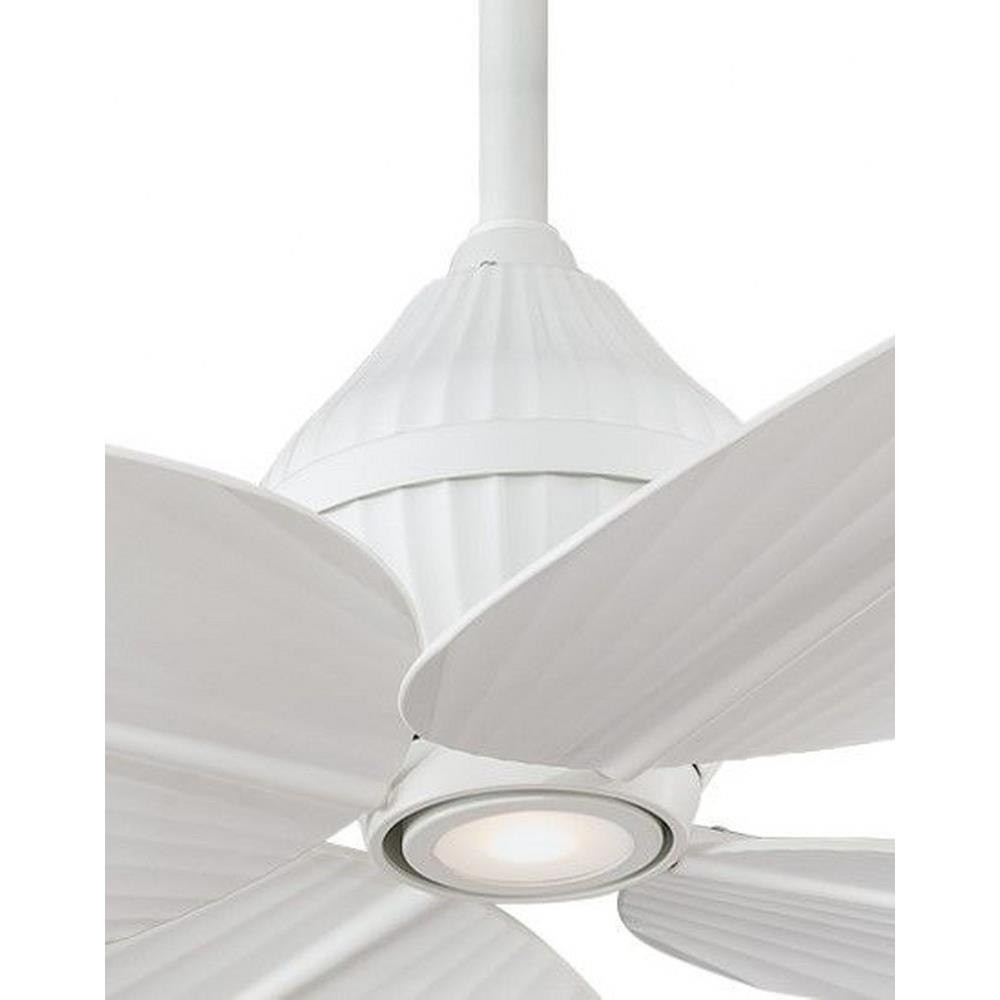 F581L-WHF | detail