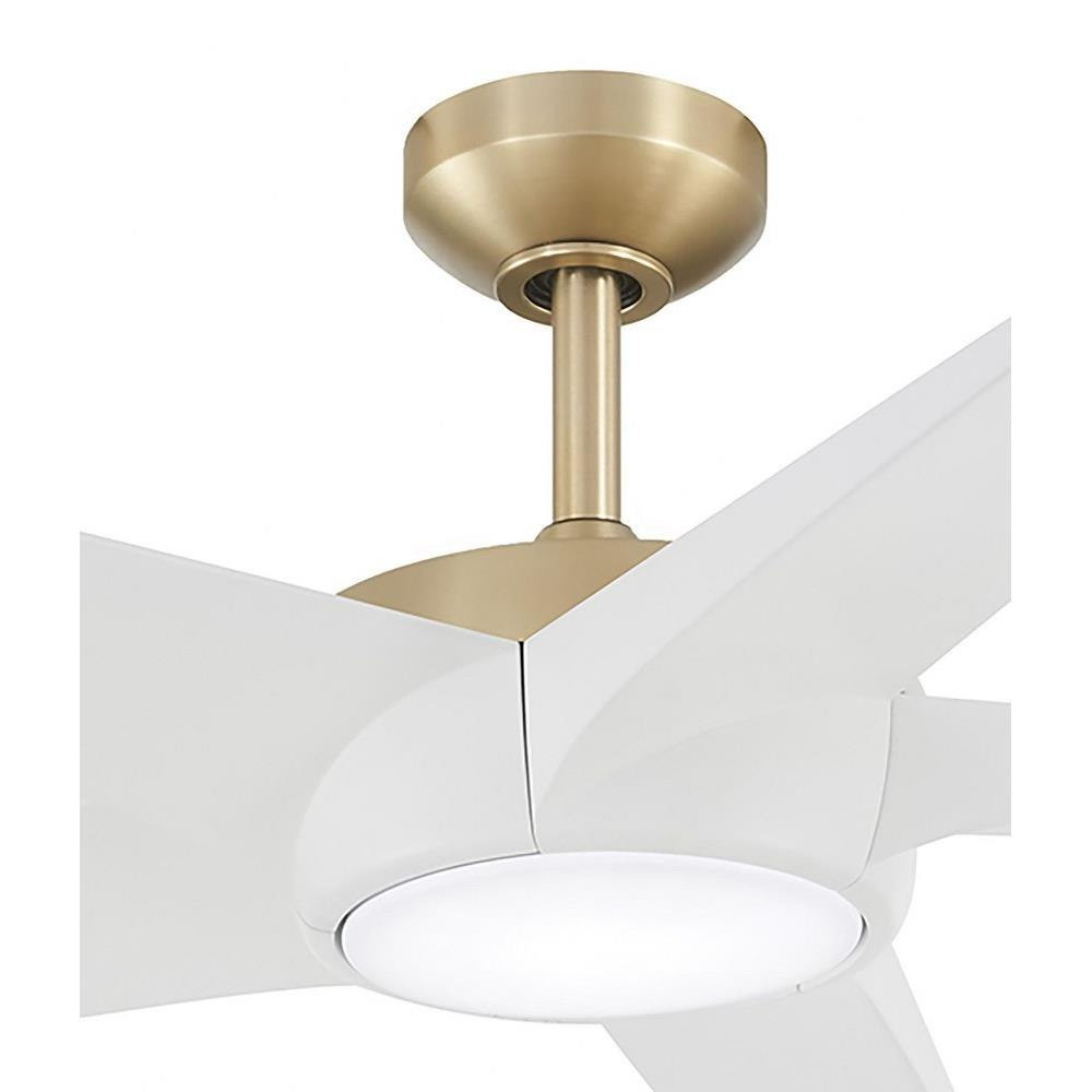 F767L-SBR/WHF | detail
