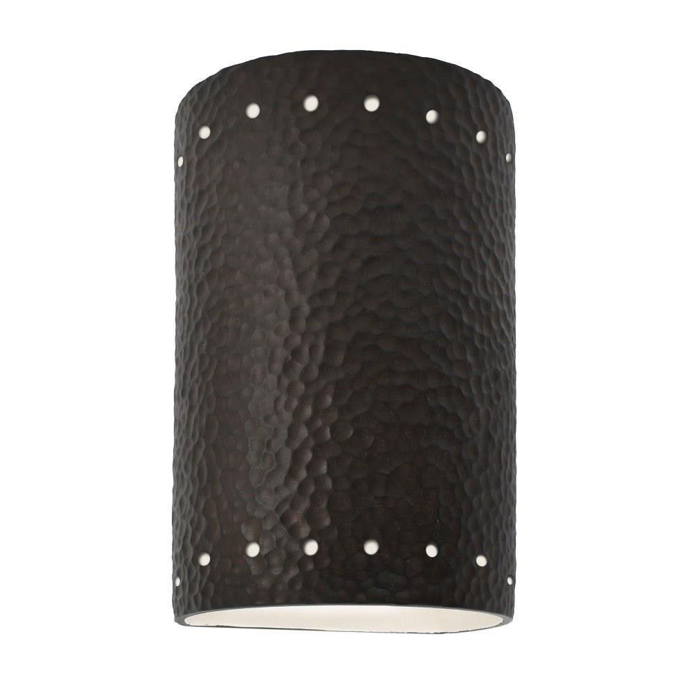 CER-5990-HMIR-LED1-1000 | 
