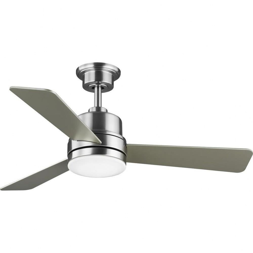 70_P2555 | Main Product Image