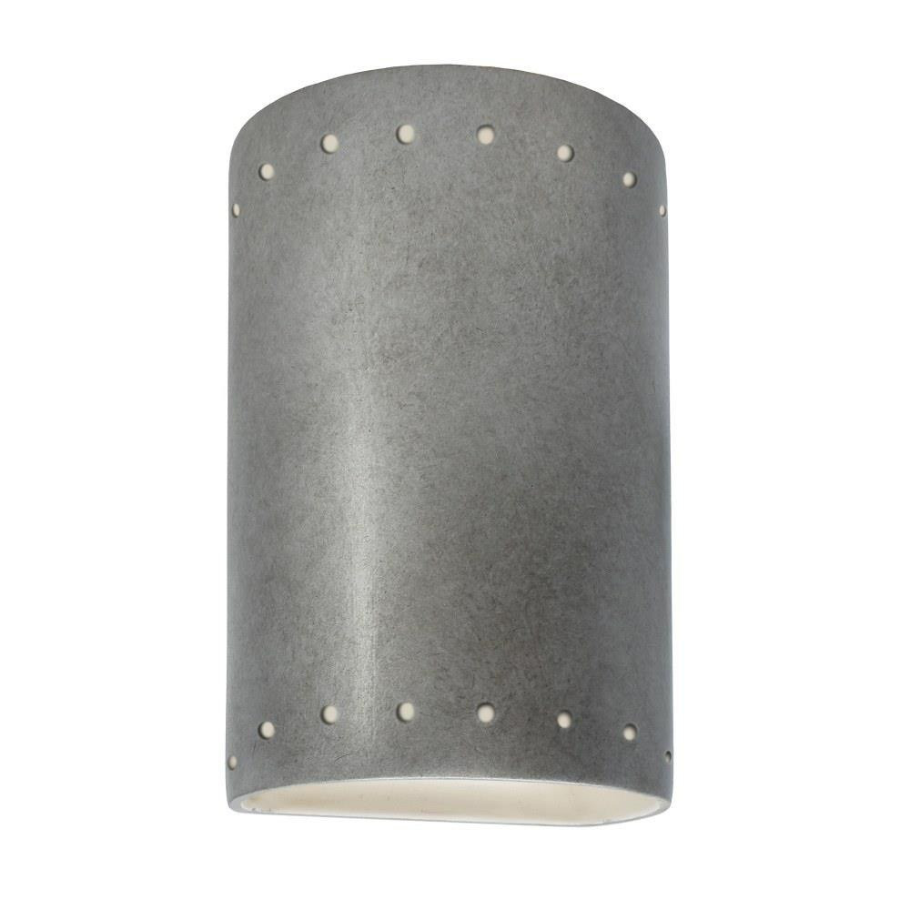 CER-5995-ANTS-LED1-1000 | 