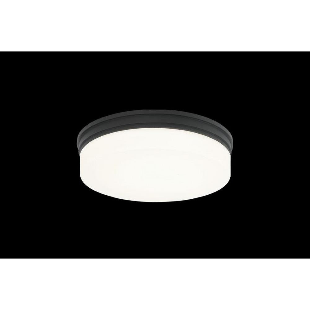 2498_M10901 | Main Product Image
