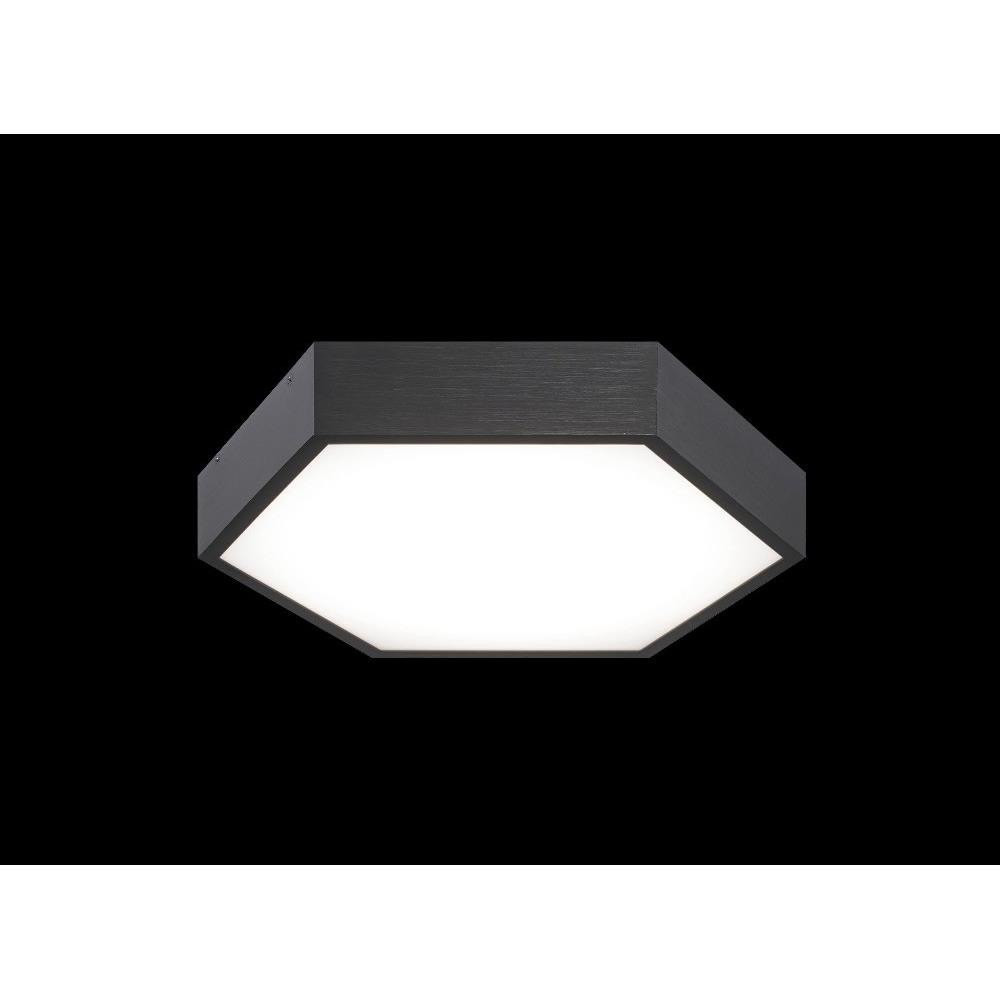 2498_M12611 | Main Product Image