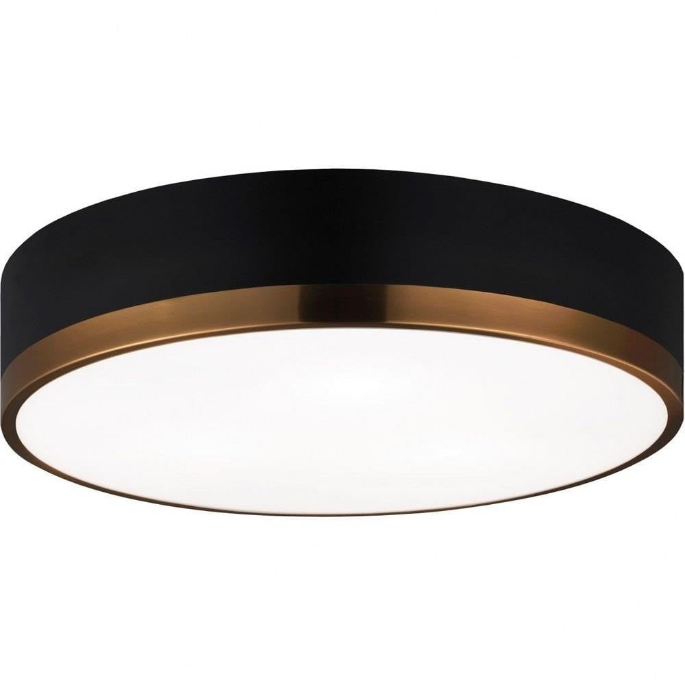 2498_M14303 | Main Product Image