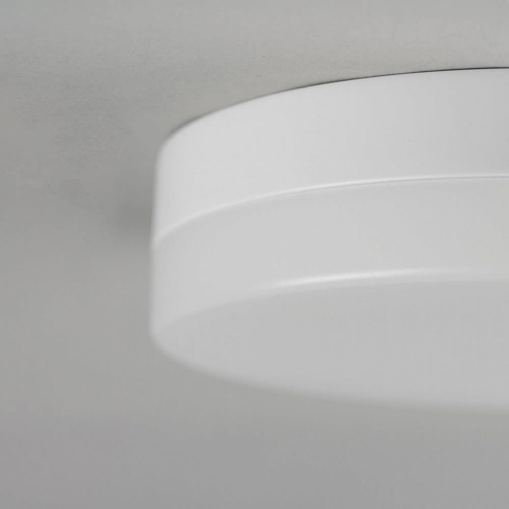 67662WTWT | detail