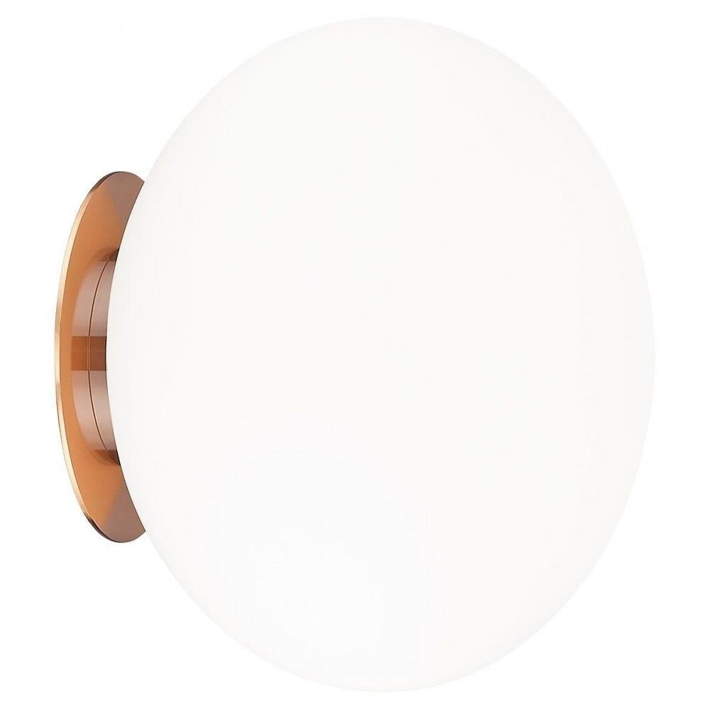 2498_WX1211 | Main Product Image