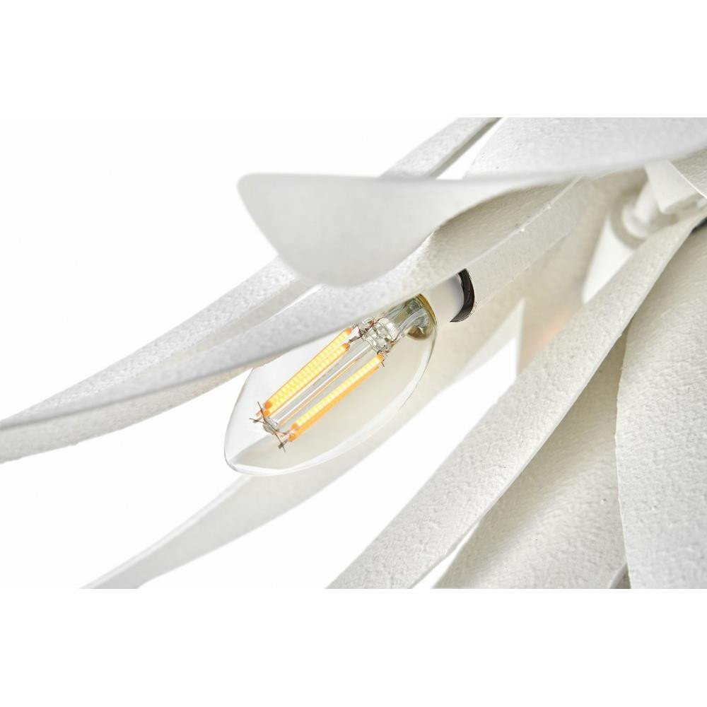 FR30815TXP | detail
