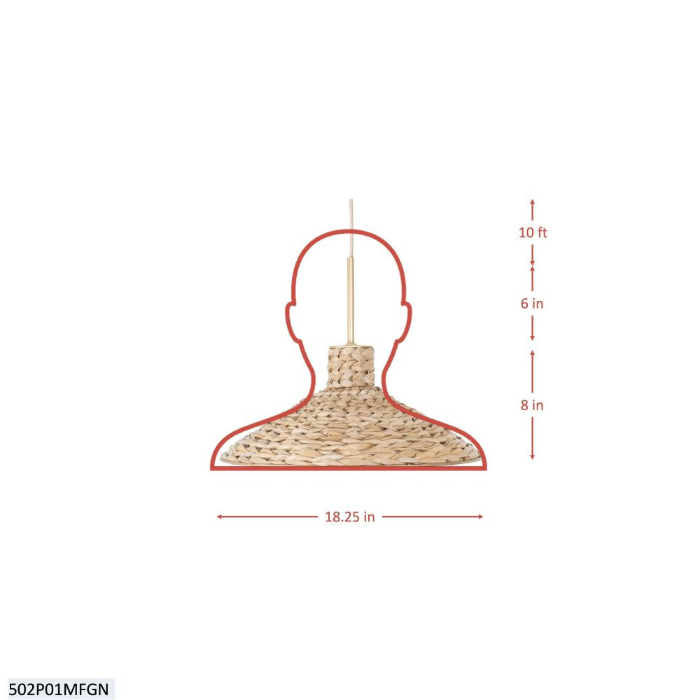 {"pim_id":"167_502p01mfgn_diagram_v1_1k","sku":"167_502P01MFGN","media_type":"media"}