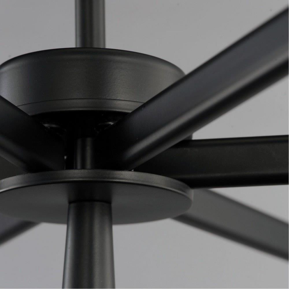 24626BK | detail