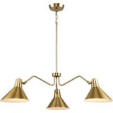Trimble 3 Light Oversized Chandelier by Progress - P400309