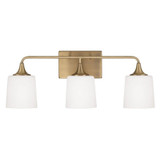 Presley 3 Light Vanity Light by Homeplace - 148931