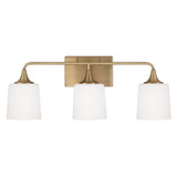 Presley 3 Light Vanity Light by Homeplace - 148931