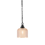 1 Light Chain Hung Pendant 8.5 Inch Tall and 6.5 Inch Wide by Toltec - 31-85-65
