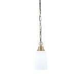 1 Light Chain Hung Pendant 9.5 Inch Tall and 4.5 Inch Wide by Toltec - 31-95-45