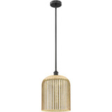 Bridal Veil 1 Light 12" Stem Hung Mini Pendant 8.5X5 Wide by Innovations - 616-1S-G559-12