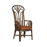 Benin Throne Armchair 47.25 Inch Tall and 23.75 Inch Wide by Currey Company - 7000-1052