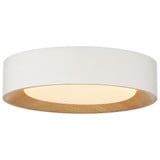 Maddy 25W 1 LED Flush Mount 3.25 Inch Tall and 13.75 Inch Wide by Access - 49910LEDDCS