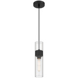 Nash 4W 1 LED Pendant 13.5 Inch Tall and 3 Inch Wide by Access - 52009
