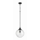 Reflection 1 Light Pendant 15.88 Inch Tall and 12 Inch Wide by Craftmade - 61292