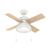 Loki 36 Inch Ceiling Fan with LED Light Kit and Pull Chain by Hunter Fans - 1000761