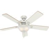 Pro's Best 52 Inch Ceiling Fan with LED Light Kit by Hunter Fans - 1000336