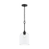 Ilia 1 Light Pendant 20.25 Inch Tall and 8 Inch Wide by Progress - P500514