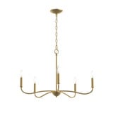 Ilia 5 Light Chandelier 18.25 Inch Tall and 28 Inch Wide by Progress - P400462