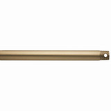 Accessory Downrod 60 Inch Tall and 1 Inch Wide by Progress - C2608