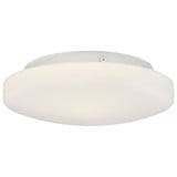 Orion 1 Light 10.75 Inch Wide Flush Mount by Access - 50160LEDD-1075