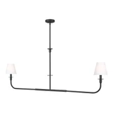 Tova 2 Light Linear Chandelier 23.75 Inch and 63.75 Inch Length by Z Lite - 3049-60L