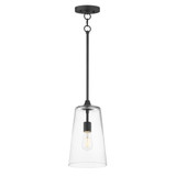 Hudson 1 Light Pendant 14.5 Inch Tall and 7.75 Inch Wide by Maxim - 12886