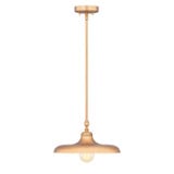 Camden 1 Light Pendant 6.75 Inch Tall and 14 Inch Wide by Z Lite - 2308P14