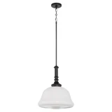 Revival 1 Light Pendant 20.5 Inch Tall and 16 Inch Wide by Quorum - 808-16