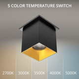 Zoron 15W 1 LED Flood Trimmed Square Outdoor Flush Mount 4.5 Inch by WAC - C4ST-FCS