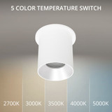 Zoron 15W 1 LED Narrow Flood Trimmed Round Outdoor Flush Mount 3.63 by WAC - C4RT-NCS