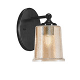 Capri 1 Light Wall Sconce 8.75 Inch Tall and 5 Inch Wide by Toltec - 5911-875-5