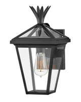 Palma 1 Light Outdoor Wall Lantern by Hinkley - 26090