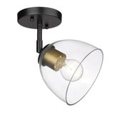 Roxie 1 Light 6.25 Inch Wide Semi Flush Mount by Golden - 6958-SF