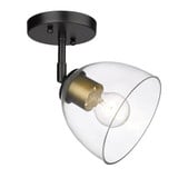 Roxie 1 Light 6.25 Inch Wide Semi Flush Mount by Golden - 6958-SF