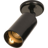 Spots One Light Can Wall/Flush Mount by Maxim  - 92010