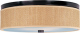 Elements 3 Light 20 Inch Wide Flush Mount by ET2 - E95004
