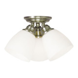 Somerville 3 Light 14.25 Inch Wide Flush Mount by Livex - 13664