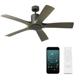 Aviator 54 Inch 5 Blade Ceiling Fan with Remote Control by Modern Forms - FR-W1811-5