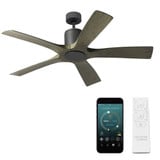 Aviator 54 Inch 5 Blade Ceiling Fan with Remote Control by Modern Forms - FR-W1811-5