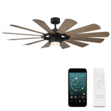 Wyndmill 65 Inch  12 Blade Ceiling Fan with Light Kit by Modern Forms - FR-W2201-65