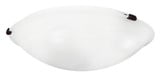 Oasis 2 Light 12.25 Inch Wide Flush Mount by Livex - 8010