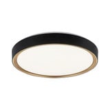 Alamus 2 Light 17.75 Inch Wide Flush Mount by Matteo - M10602