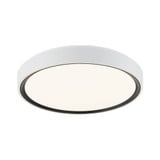 Alamus 2 Light 17.75 Inch Wide Flush Mount by Matteo - M10602