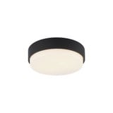 Quintz 2 Light 12 Inch Wide Flush Mount by Matteo - M13202