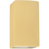 Ambiance 1 Light Small Rectangle Closed Top Wall Sconce by Justice Design - CER-5910